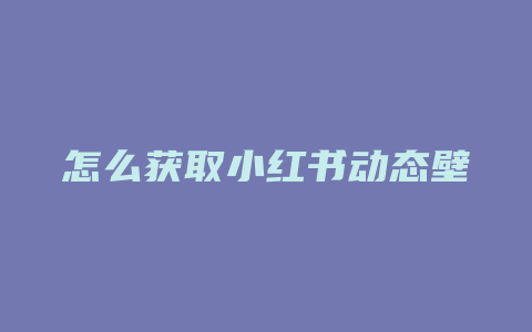 怎么获取小红书动态壁纸