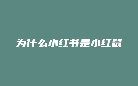 为什么小红书是小红鼠标