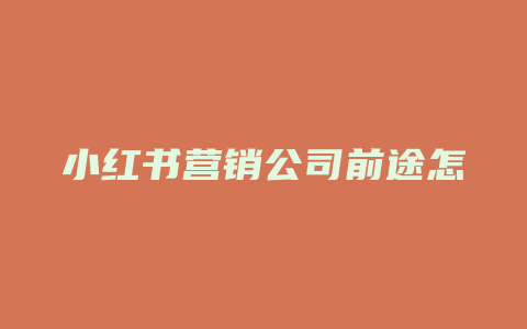 小红书营销公司前途怎么样