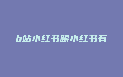 b站小红书跟小红书有什么区别