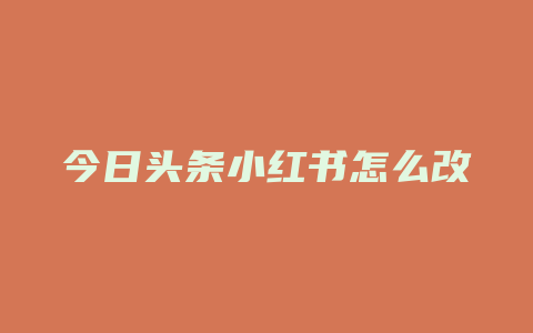 今日头条小红书怎么改名字