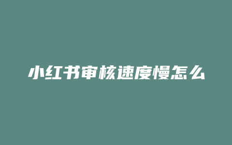 小红书审核速度慢怎么办