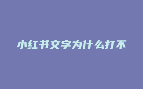 小红书文字为什么打不出来