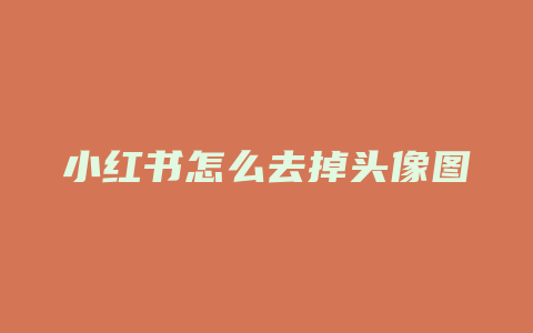 小红书怎么去掉头像图片