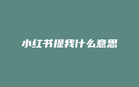 小红书提我什么意思