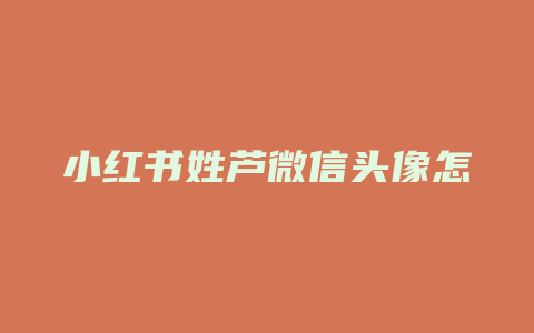 小红书姓芦微信头像怎么弄