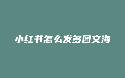 小红书怎么发多图文海报