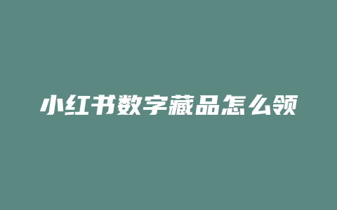 小红书数字藏品怎么领券